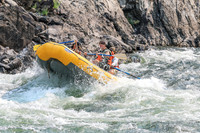 20260809-IMG_7101