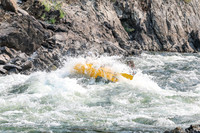 20260809-IMG_7131