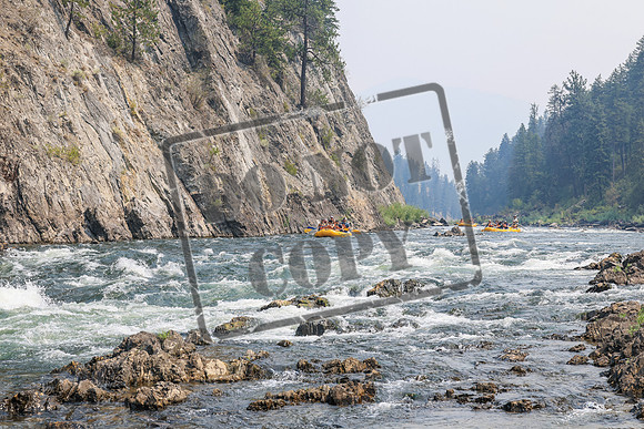 20260809-IMG_8778