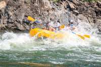 20260809-IMG_8795