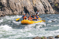 20260809-IMG_8811
