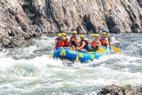 20260809-IMG_7889