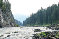 20260809-IMG_6474