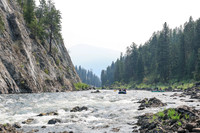 20260809-IMG_6985