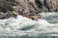 20260809-IMG_7450