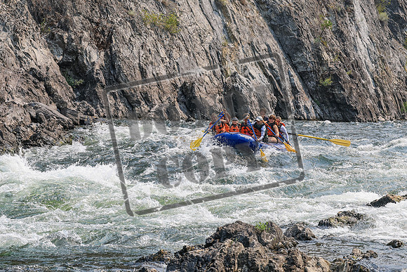 20260809-IMG_7478