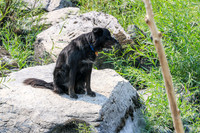 20260810-IMG_0190