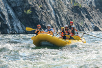20260810-IMG_9988