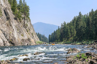 Raft 5