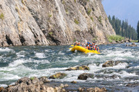 20260810-IMG_0639