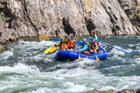 20260810-IMG_0474