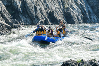20260811-IMG_1099