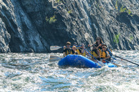 20260811-IMG_1131