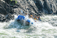 20260811-IMG_1141