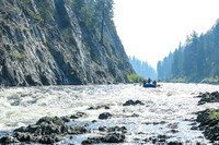 20260811-IMG_1042