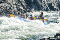 20260811-IMG_1053