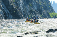 20260811-IMG_0729
