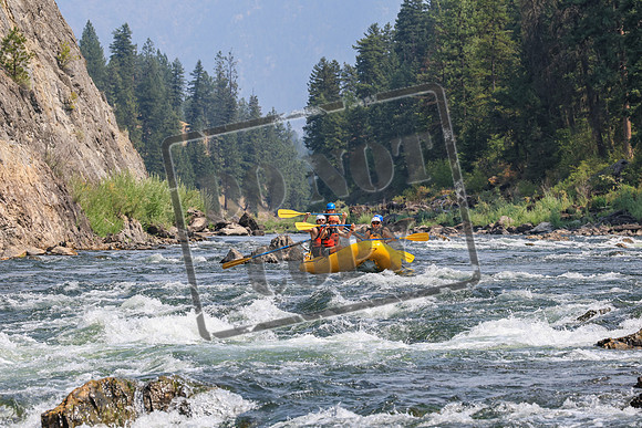 20260811-IMG_1657