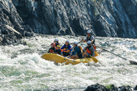 20260811-IMG_0758
