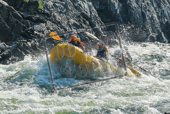 20260811-IMG_0761
