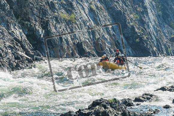 20260811-IMG_0895