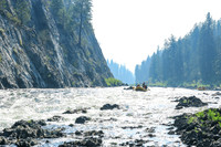 20260811-IMG_0886