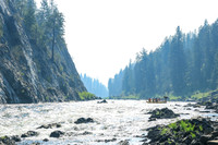 Raft 7