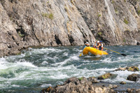 20260811-IMG_1596