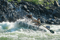 20260811-IMG_0706