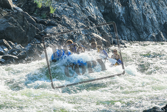 20260812-IMG_2080