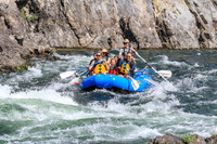 20260812-IMG_3522