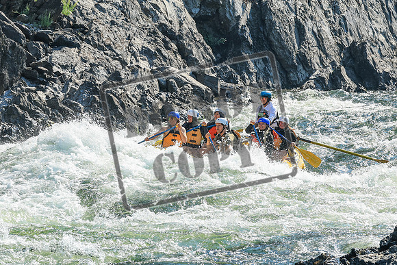 20260812-IMG_2284