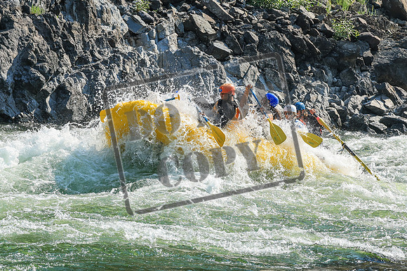 20260812-IMG_2423