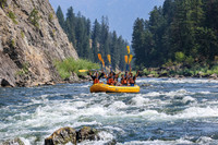 20260812-IMG_2929