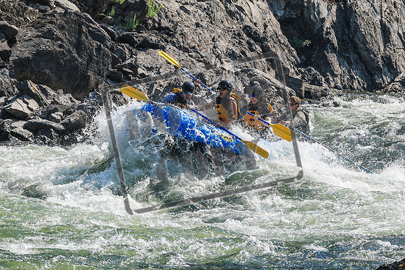 20260812-IMG_2511