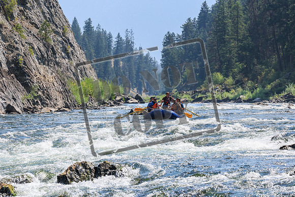 20260812-IMG_2659