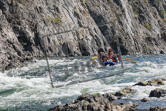 20260812-IMG_2713