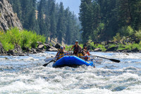 20260813-IMG_4221
