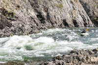 20260813-IMG_4595