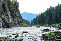 Raft 2