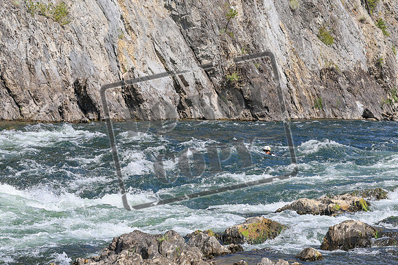 20260813-IMG_4893