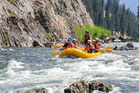 20260813-IMG_4528
