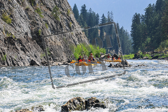 20260813-IMG_4284