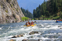 20260814-IMG_5735