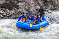 PAWS UP