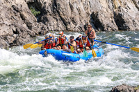 20260815-IMG_7742