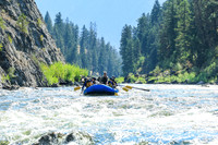 20260817-IMG_1081