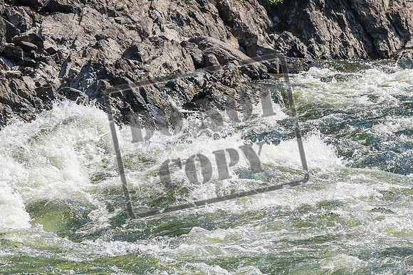 20260819-IMG_2673
