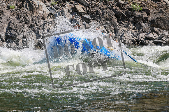 20260819-IMG_3110