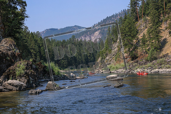 20260819-IMG_2853